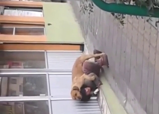 Hot zoophile busted fucking a dog in public