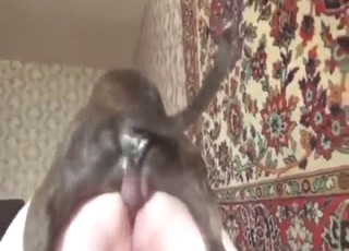 Fat Russian housewife is happy far fuck a nice dog