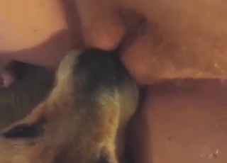 Lady cannot stop shaking repression that orgasm