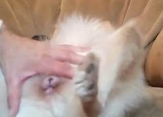 Guy tearing into the white dog's pink flesh