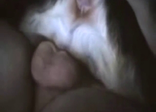 Dog's cowgirl passions are just incredible