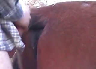 Chocolate-colored mare truly worships anal foray - 馬のポルノチューブ